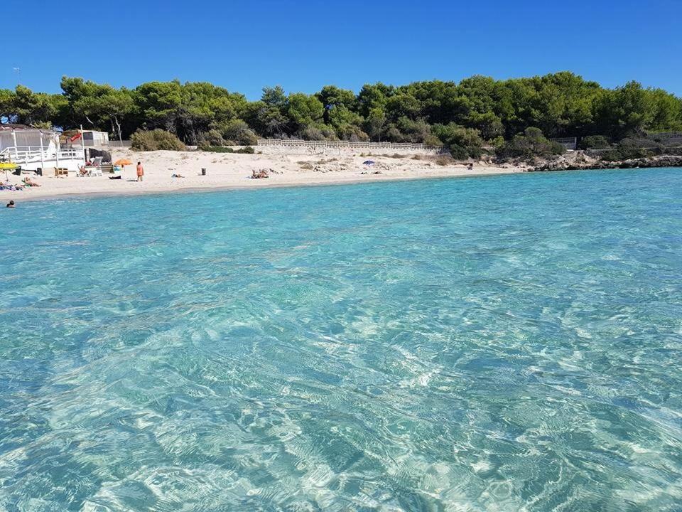 B&B Luxury Apartments Pulsano Εξωτερικό φωτογραφία